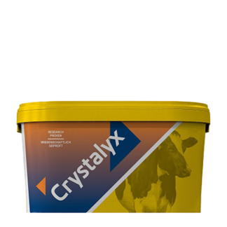 Crystalyx Cattle Booster 22,5 laizāmā papildbarība liellopiem