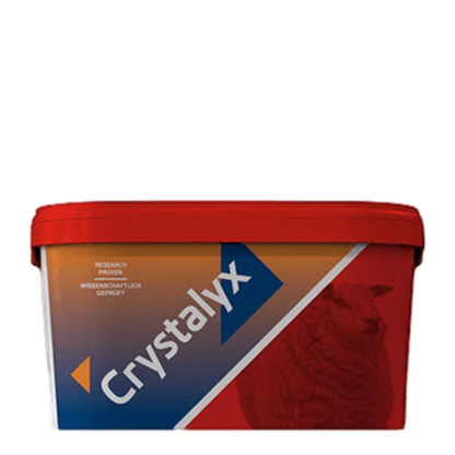 Crystalyx Exrtra Energy laizāmā papildbarība aitām